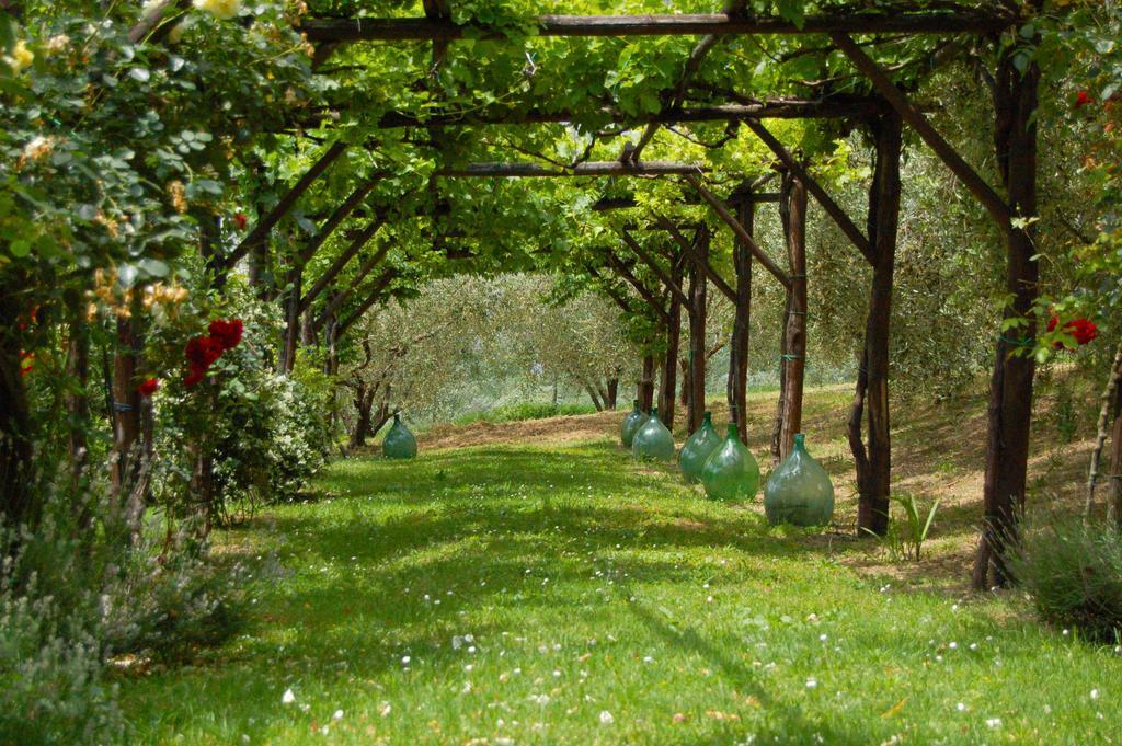 Agriturismo Casale Dei Frontini San Terenziano Buitenkant foto
