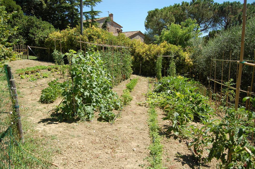 Agriturismo Casale Dei Frontini San Terenziano Buitenkant foto