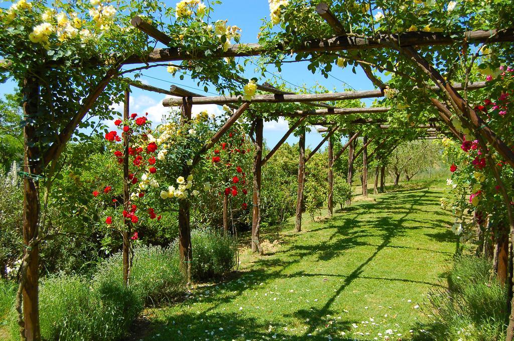 Agriturismo Casale Dei Frontini San Terenziano Buitenkant foto