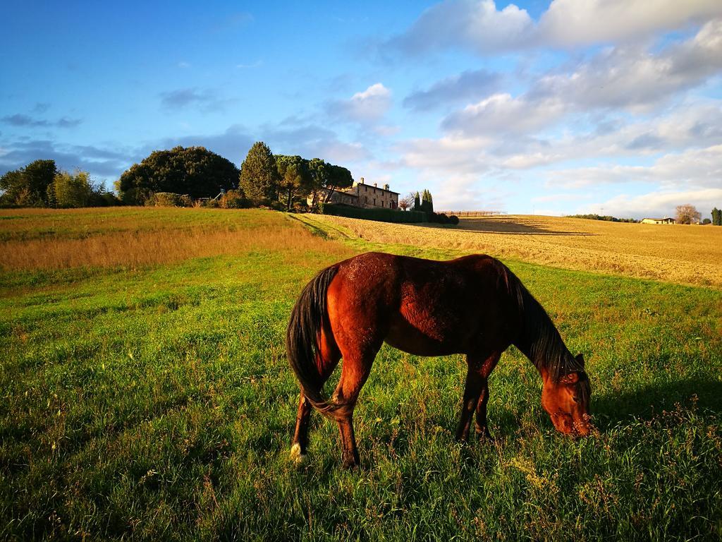 Agriturismo Casale Dei Frontini San Terenziano Buitenkant foto