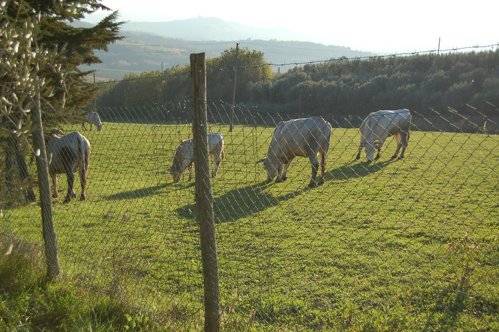 Agriturismo Casale Dei Frontini San Terenziano Buitenkant foto